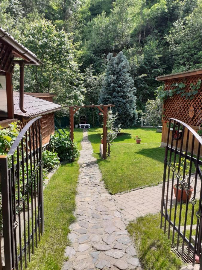 Pension Calborean Tălmaciu Exterior foto
